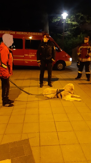 20210509_004329 bearbeitet groß.jpg